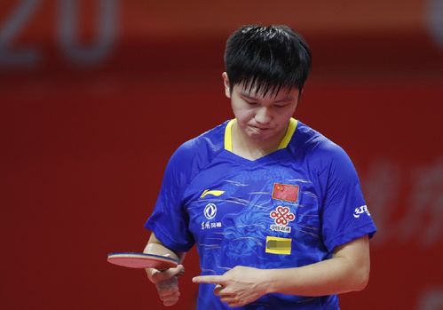 迷的尊敬 迷的尊敬