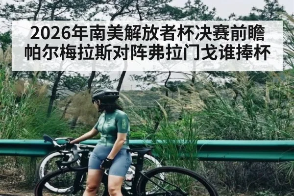 2026年南美解放者杯决赛前瞻 帕尔梅拉斯对阵弗拉门戈谁捧杯